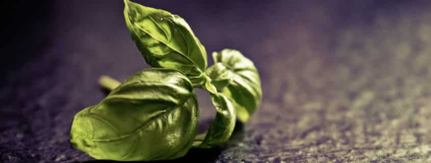 Prodotti made in Italy